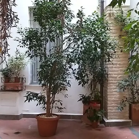 Foro Romano Luxury 2 Apartment